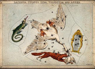Eukarpia 2025, Praha
