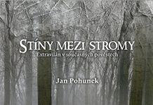 Někde v lese