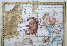 Horoskop pro 14. týden