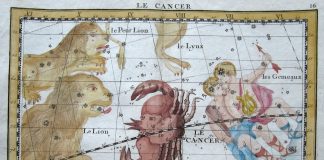 Horoskop pro 14. týden