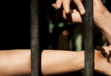 Suzanne Vega, 15/7, ARCHA+, Praha