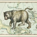 Arktos