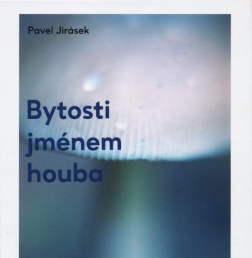 Kůstky ztraceného ptáka Fénixe