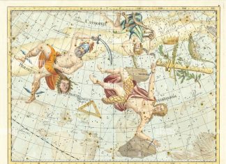 Horoskop pro 15. týden